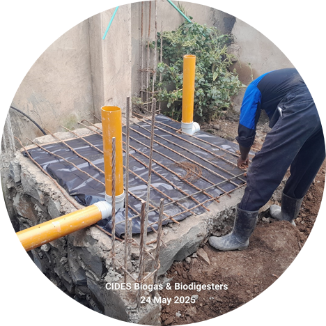 Bioseptic Services