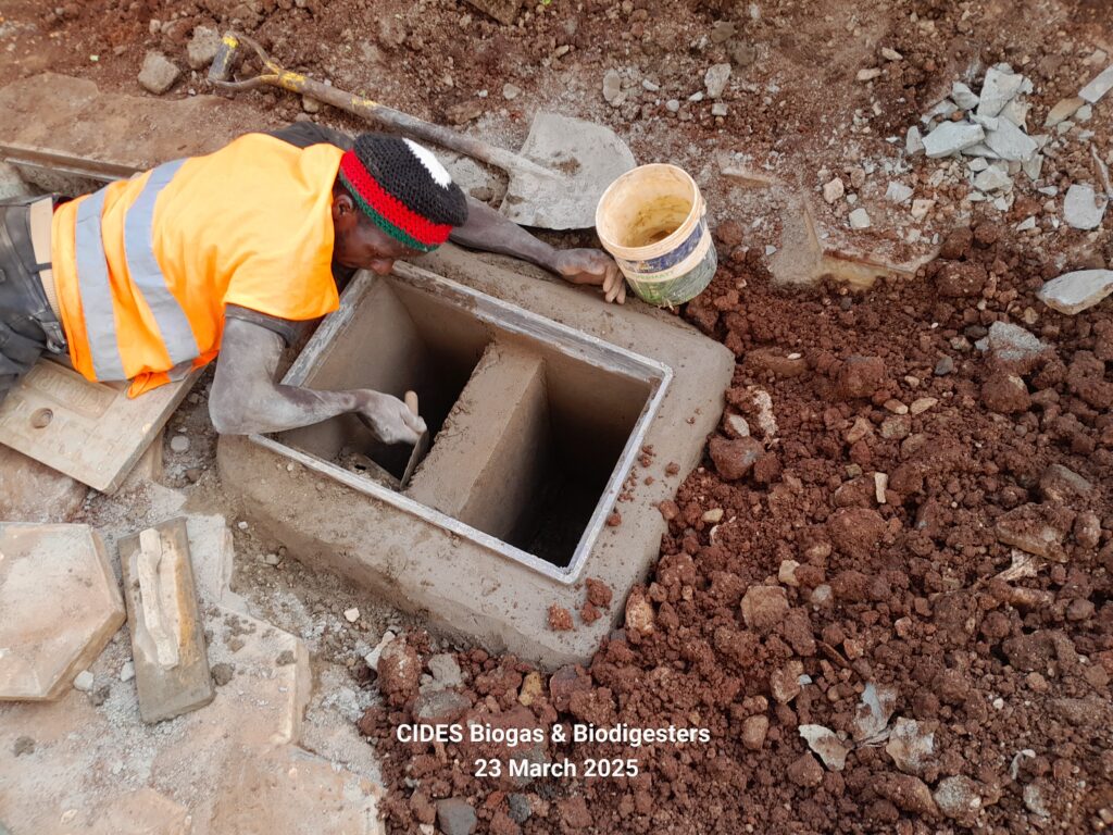 CIDES Biological Septic Installation