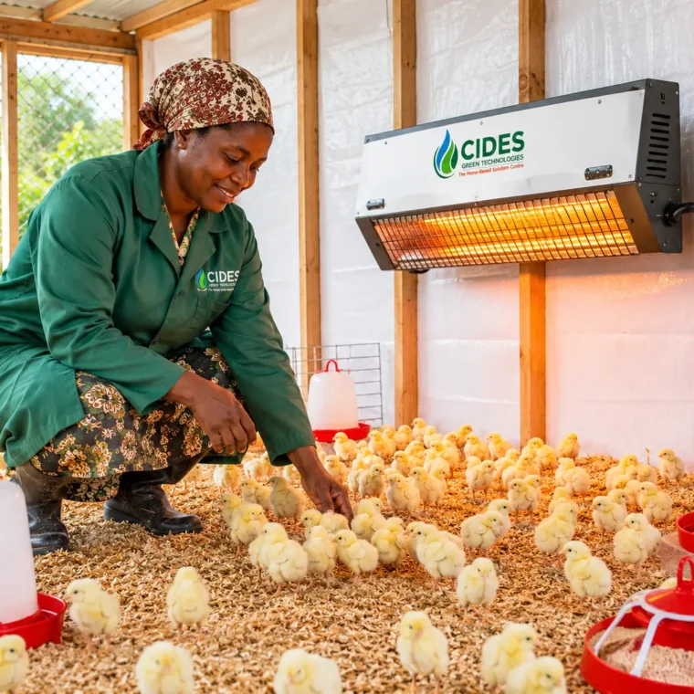 CIDES green technology project
